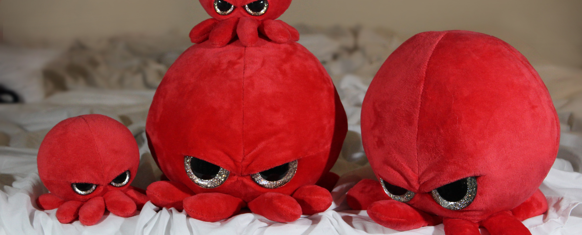 newhome – The Grumpy Octopus