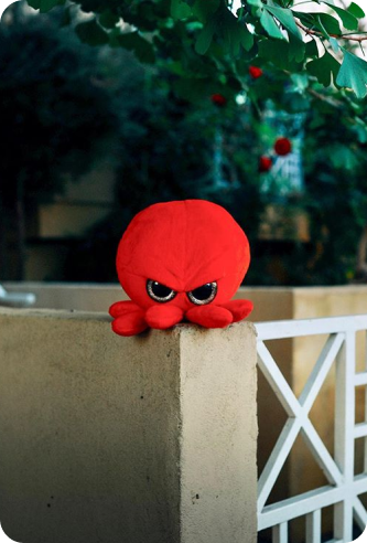 newhome – The Grumpy Octopus