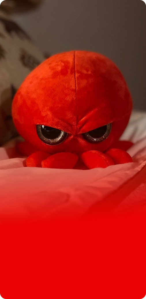 newhome – The Grumpy Octopus